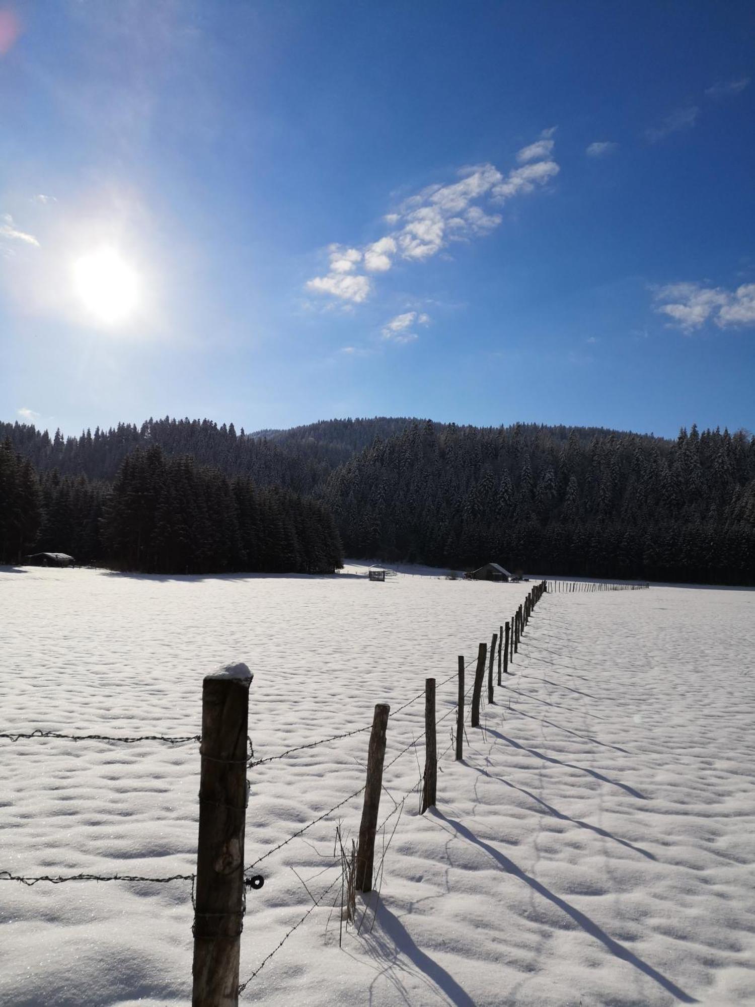 Auberge Du Chateau De Joux La Cluse-et-Mijoux Kültér fotó